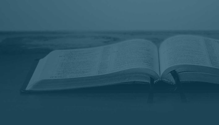 The Word Became Fresh: How to Preach From Old Testament Narrative Texts